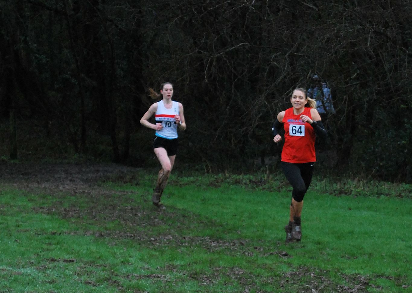 Slideshow galleryslideshowarrowepark2016champs