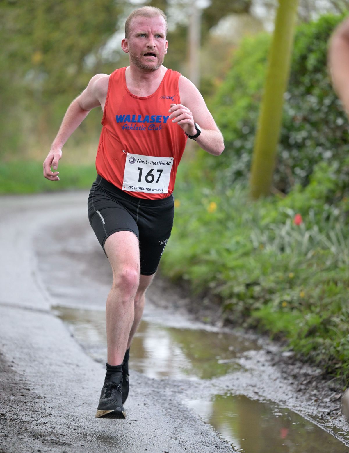 Slideshow galleryslideshowchesterspring52024