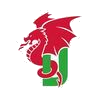 Cheshire Dragons badge