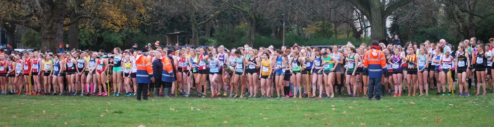 Runners at the start