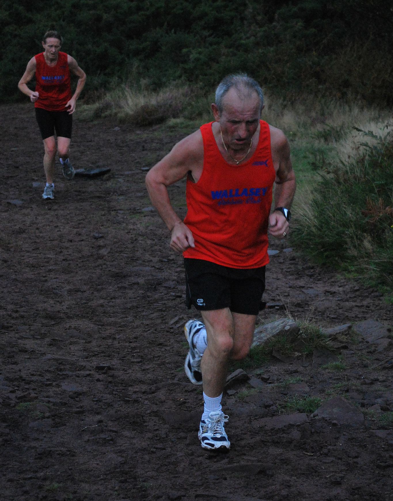 Jim Wilkinson