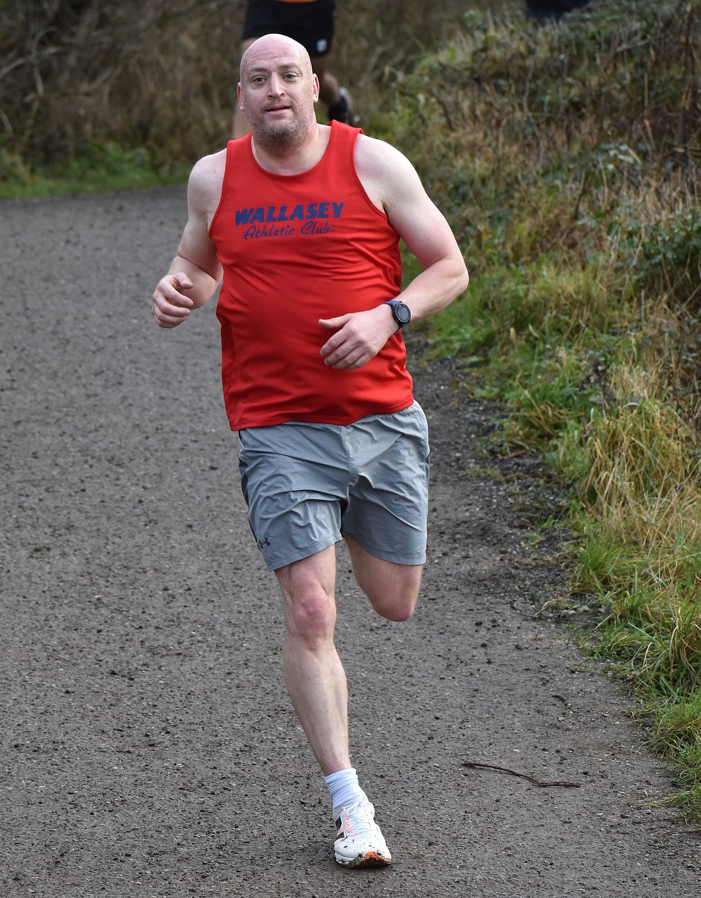 Andrew Gibson