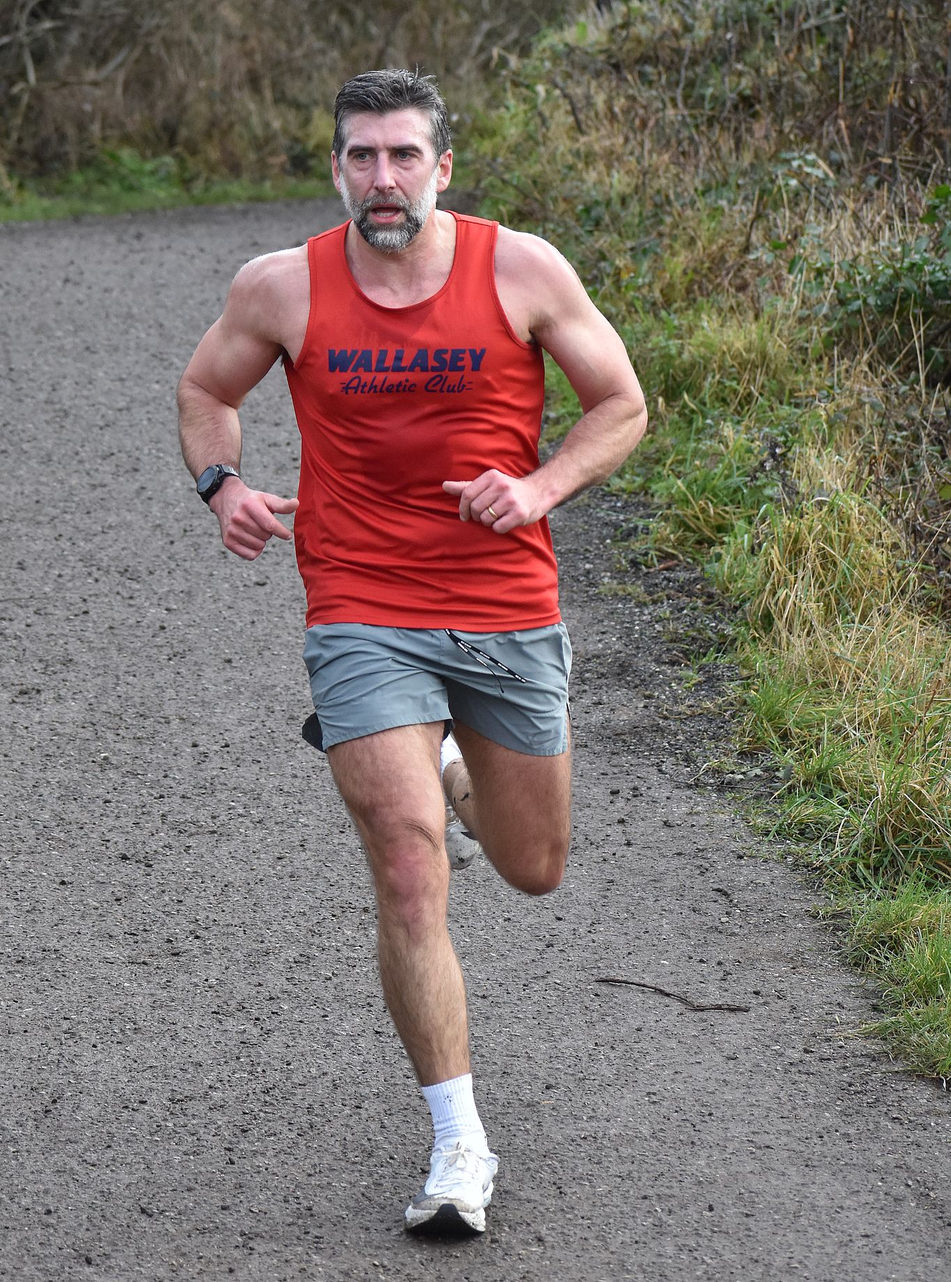 Daniel Hoare